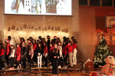 Božično-novoletni koncert Osnovne šole Toma Brejca  (9)